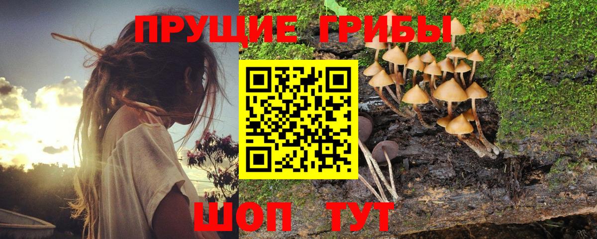 купить  цена  Вход с VPN  Рязань  Псилоцибиновые грибы Cubensis  Галлюциногенные грибы Cubensis 