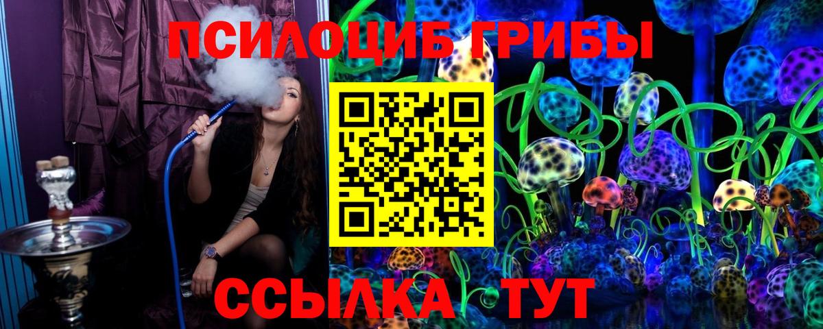 Псилоцибиновые грибы мицелий Рязань